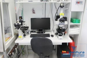 Read more about the article Insolvenz-Auktion  Stereo-Mikroskope NIKON – 42579 Heiligenhaus – 15.02.2022 – 09:30:00