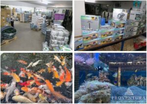 Read more about the article Großer Insolvenz-Räumungsverkauf: Aquaristik, Fische, Korallen, Fischzucht, Teichzubehör, Aquarien, etc., 50% auf Alles! – Aqua Schwarz GmbH, Maschmühlenweg 40, 37081 Göttingen – 26.07.2024 – 18:00:00