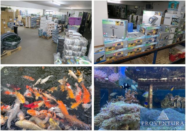 You are currently viewing Großer Insolvenz-Räumungsverkauf: Aquaristik, Fische, Korallen, Fischzucht, Teichzubehör, Aquarien, etc., 50% auf Alles! – Aqua Schwarz GmbH, Maschmühlenweg 40, 37081 Göttingen – 26.07.2024 – 18:00:00